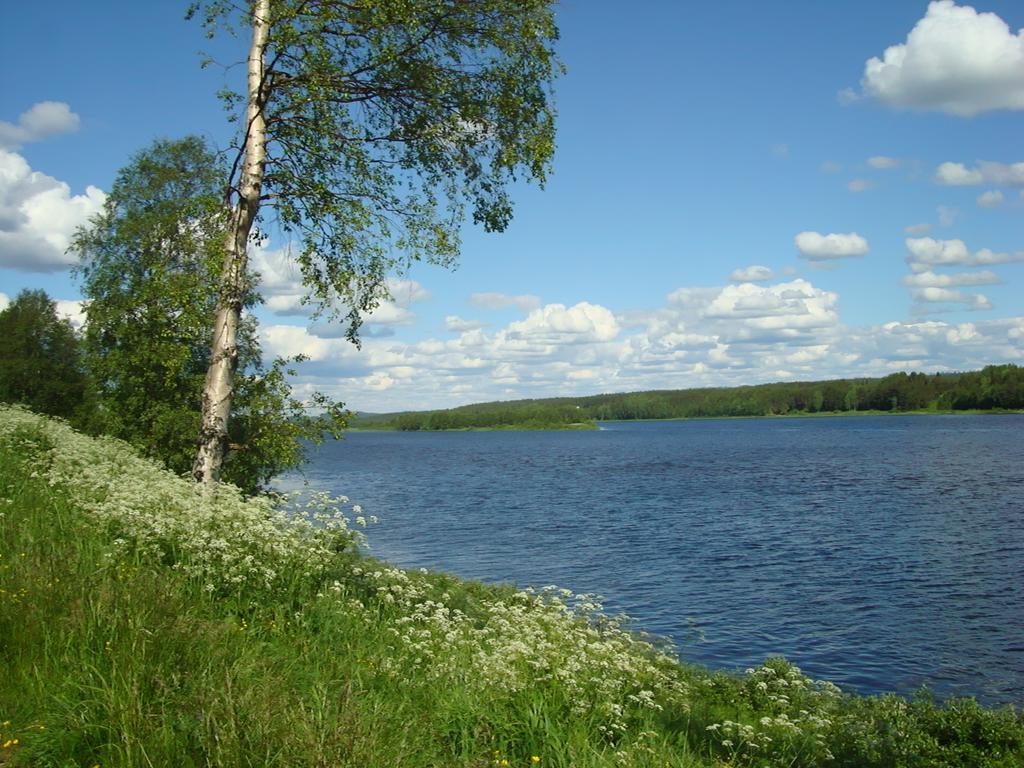 Pajala Cottages Route 99 Экстерьер фото